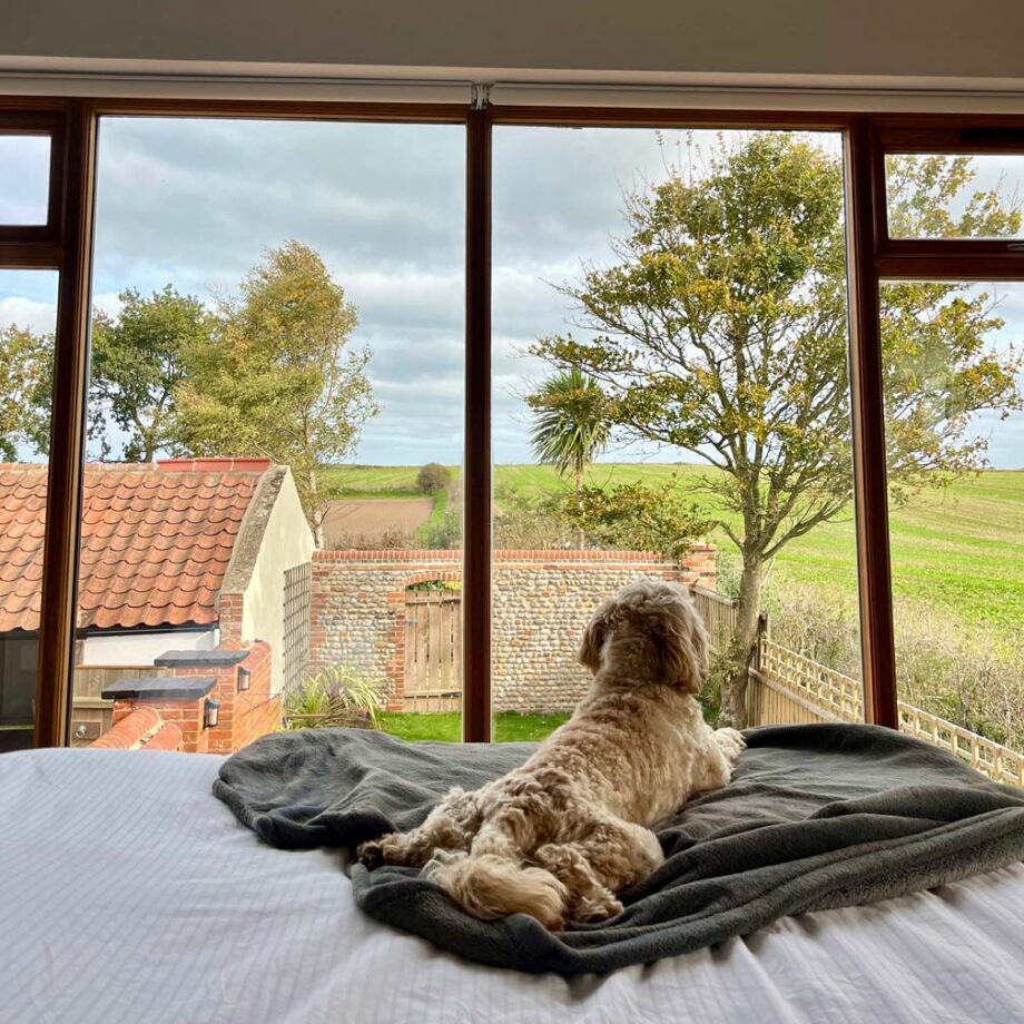Dog friendly holiday accommodation